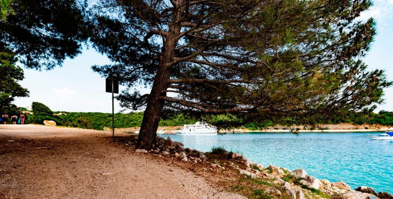 Lavanda Apartments&Studios Pinezići Dış mekan fotoğraf